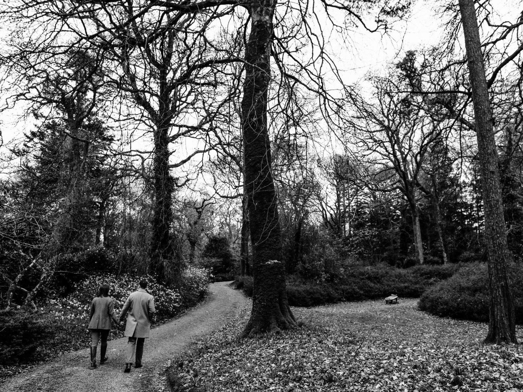 The Forest At Mount Congreve Gardens Kilmeaden Exterior photo