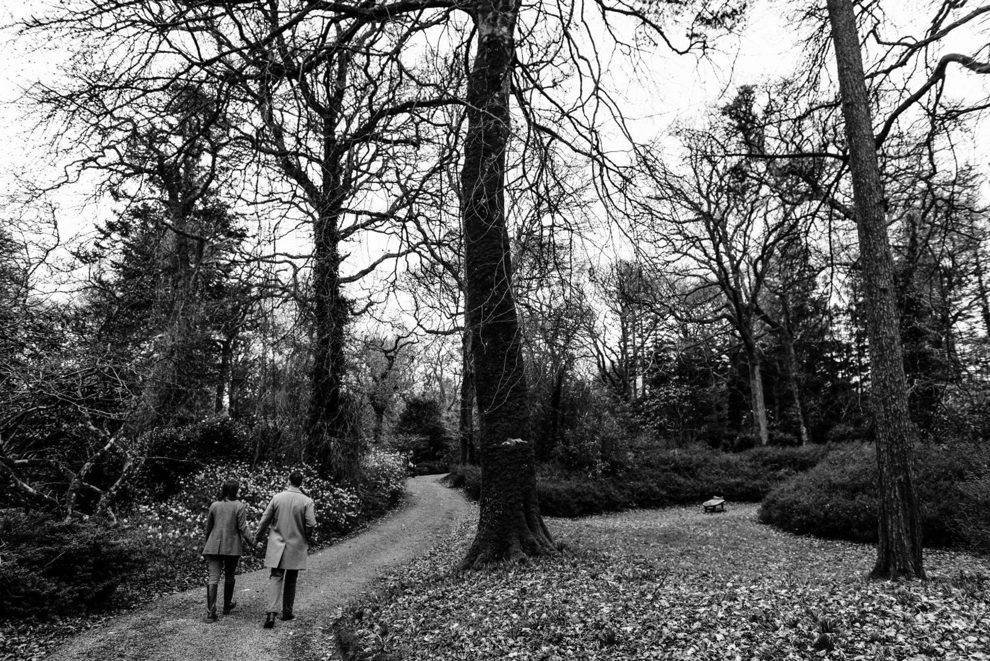 The Forest At Mount Congreve Gardens Kilmeaden Exterior photo